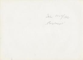 Sziklai Dezső(1910-1997): Margitsziget, hátoldalon feliratozott fotó, 18x24 cm