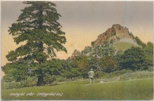 Salgótarján, Salgói várrom