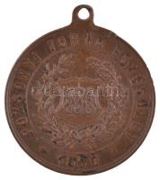 ~1920-1930. "Pozsonyi Torna Egyesület 1880 / Épség - Erő - Egyetértés II. díj" Br díjérem ...