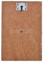 Haich Erzsébet (1897-1994) DN "Szőts Ernő" Br plakett felakasztható falapon (Szőts Ernő (1...