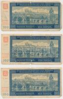 Német 3. Birodalom/Cseh-Morva Protektorátus/Német megszállás 1940. 100K (3x) sorszámkövetők T:III-
G...