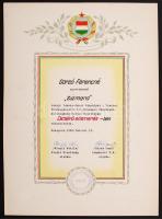 Gorzó Ferencné:Zúzmara fotó paszpartuban, 23x16cm+ elismerő oklevél