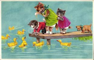 Cats, ducks, Novolito litho