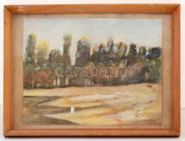 MMG jelzéssel: Fasor, akvarell, papír, üvegezett fa keretben, 26×33 cm