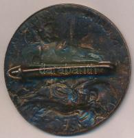 1954. "Dunai árvízvédelemért" Br jelvény (37mm) T:2-