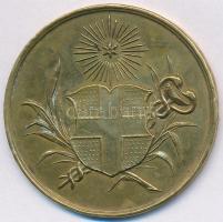 Ausztria 1886. "Jótékonysági kiállítás a Schwarzenberg palotában 1886 Április" fém emlékér...