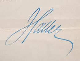 1919 Bp., Haller István(1880-1964) vallás- és közoktatásügyi miniszter által kiadott fizetési átsoro...