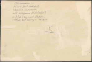 1930 Bp., Rákosi Jenő (1842-1929) író, színházigazgató szobrának felavatása az Erzsébet körút és a D...