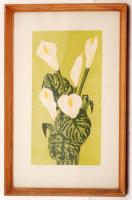 Jánosi Sándor (1927-): Kála, színes szitanyomat, papír, jelzett, üvegezett keretben, 17x32 cm