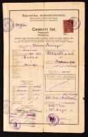 1920 Szörényi Erzsébet geológus fényképes csehszlovák útlevele, sok bejegyzéssel / Czechoslovakian passport with many remarks