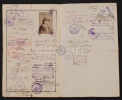 1920 Szörényi Erzsébet geológus fényképes csehszlovák útlevele, sok bejegyzéssel / Czechoslovakian p...