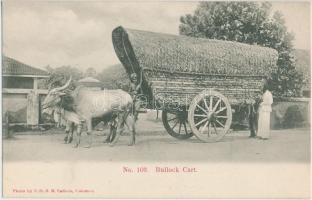 Srí Lanka, Ceylon; Bullock cart