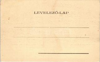 Torda, Sóbánya-fürdő; Füssy és Sztupjár kiadása