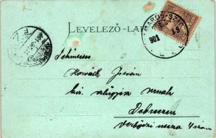 Hohe Rinne, Bulia Thal, Siebenbürgische Karpaten; Verlag F. Binder, litho (Rb)