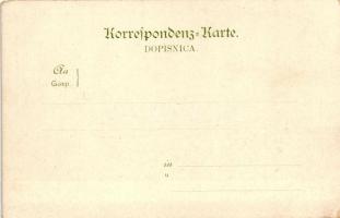 Plevlje, Sandschak; Hauptstrasse Plevlje, Türkin, Türk. Zigeunerin. Verlag Atelier Spiegel / Turkish...