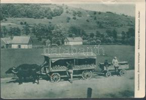 cca 1940 "Udvarhely, a székely anyaszék; Székelyudvarhely a székely anyaváros", fotókkal g...