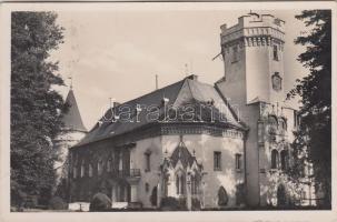 Nagykároly, Gróf Károlyi kastély / castle