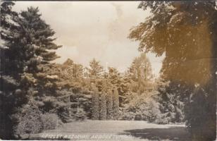 Szarvas, Arborétum - 3 db régi fotó / 3 old photo (non PC)