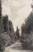 Szarvas, Arborétum - 3 db régi fotó / 3 old photo (non PC)