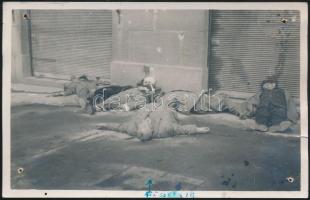 cca 1930-1940 Lelőtt csetnikek(szerb irreguláris katonai alakulat tagjai), fotólap, felületén lyukakkal, 14x9 cm / cca 1930-1940 Chetniks(Yugoslavia), photocard, 14x9 cm