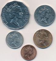 Fiji-szigetek 1986-1992. 1c-50c (5xklf) T:2
Fiji Islands 1986-1992. 1 Cent - 50 Cents (5xdiff) C:XF