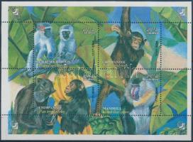 Monkeys; Stamp Exhibition block, Állat - Majmok; Bélyegkiállítás blokk