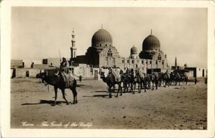 Cairo, Tombs of the Califs, camels (EK)