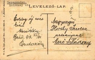 Beregszász, Andrássy utca / street (fl)