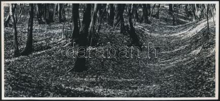 cca 1950-1990 A XX. század második felének kortárs magyar fotóművészeti tétele, 99 fotográfus (Ágg K...