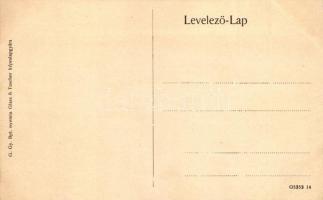 Trencsén, Látkép; a Glass & Tuscher képeslapgyárból / view