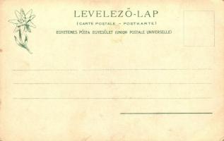 Ótátrafüred, Bad Alt-Schmecks; Feitzinger Ede 1903/18