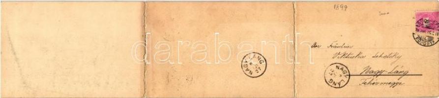 1899 Budapest, Három részes panorámalap MFTR és DDSG hajókkal / 3-tile panoramacard