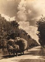 cca 1940 Thöresz Dezső (1902-1963): Szénás szekér, jelzés nélküli, feliratozott vintage fotóművészeti alkotás, a szerző hagyatékából, 39x29 cm, karton 50x46 cm