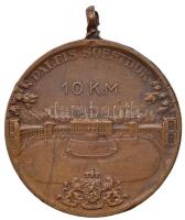 Hollandia 1938. "Beatrix királynő születésére" Br emlékérem (30mm) T:2- karc
Netherlands 1...