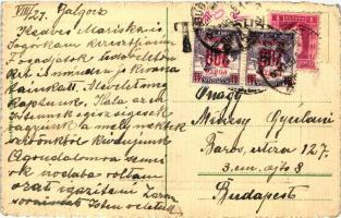 Galgóc, Gróf Erdődy vára, Vág folyópart / castle view from River Vág (Rb)