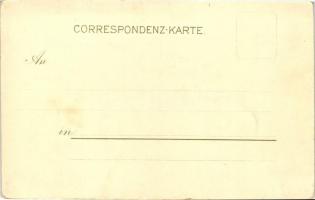 1899 Herkulesfürdő, Kunstanstalt Kosmos litho s: Geiger R