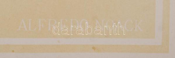 cca 1880 Olaszország, Genova, Alfredo Noack négy felvétele a XIX. századi Genováról, 21x27 cm, karto...