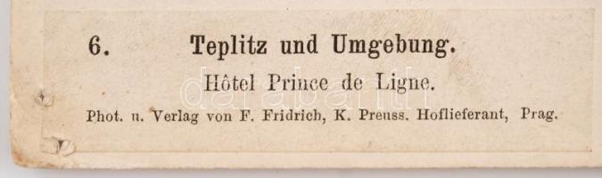cca 1880 Csehország, Teplitz belvárosa, feliratozva, 20,5x25,5 cm, karton 32x41 cm /
cca 1880 Teplic...