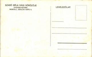 Miskolc, Szabó Béla Hági sörözője, Zsolcai kapu 5