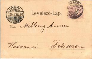 1899 Szatmár, Új vigadó, szálloda; kiadja Lővy M. / redoute, hotel