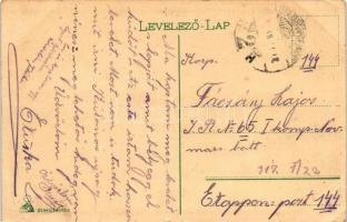 Szatmárnémeti, Híd / bridge (EK)