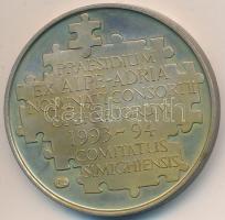 1994. "Alpok-Adria Kft. alapításának 15. évfordulójára" ezüstözött fém latin feliratos eml...