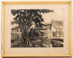 Blahos Rudolf (1917-1986): Zalaegerszegi falumúzeum. Rézkarc, papír, jelzett, üvegezett keretben, 29...