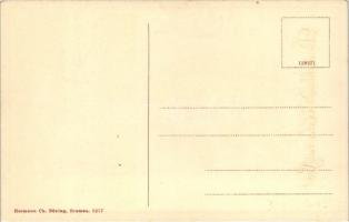 Deutschlands Wehr zur See, SMS Posen / German navy, WWI litho