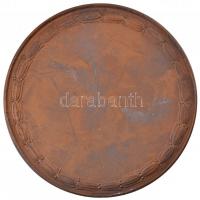 Lux Elek (1884-1941) DN "Rátz László 1863-1930" Br emlékérem "LUDVIG" gyártói je...