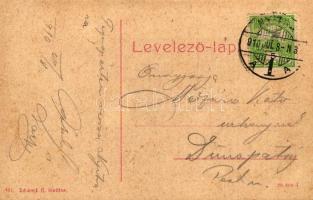 Nyitra, Vármegye utca, Steiner Ignácz áruháza, gyógyszertár; Schwarz A. kiadása / street view, shop,...