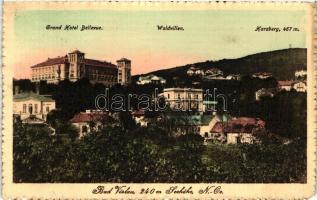 Bad Vöslau, Grand Hotel Bellevue, Waldvillen, Harzberg (EM)