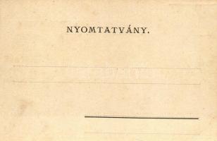 Pozsony, Bratislava; Hal tér 11., Preisak Győző könyvnyomdája; saját kiadású képeslap / Preisak'...