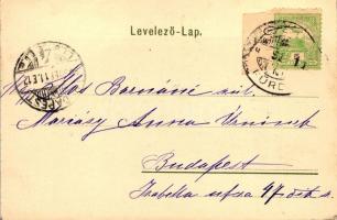 Csízfürdő, Tanítói árvaházak szanatóriuma; Fogel Mór kiadása / sanatorium