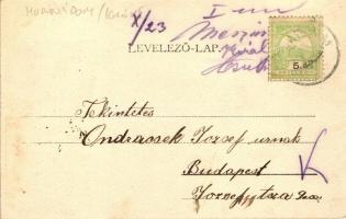 Haraszt, Kastély / castle